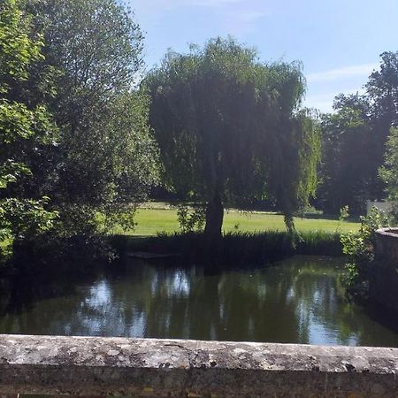 Chateau De Rocheux Freteval 外观 照片