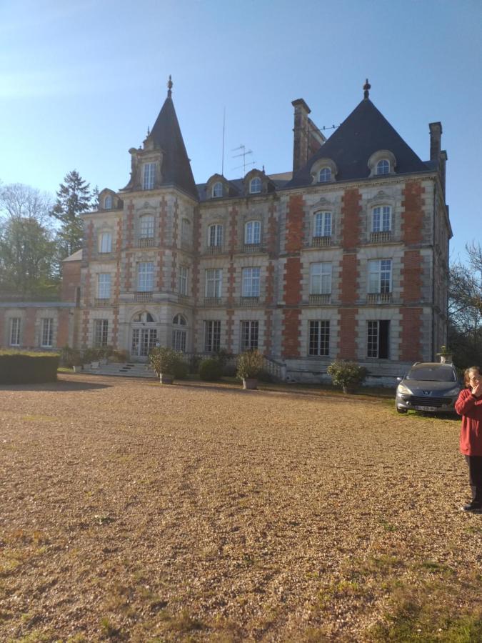 Chateau De Rocheux Freteval 外观 照片